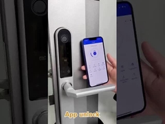 Peso bruto 2,5 kg Cerradura de puertas con huella de dedos para puertas de entrada/puertas de apartamentos/puertas de patio/puertas de hoteles