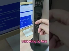 Reconocimiento facial Video Ojo de gato Cerradura inteligente Vena de palma Desbloqueo de fábrica china