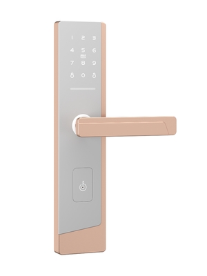 Bloqueo de puerta con contraseña de pantalla táctil inteligente para un administrador y hasta 100 usuarios