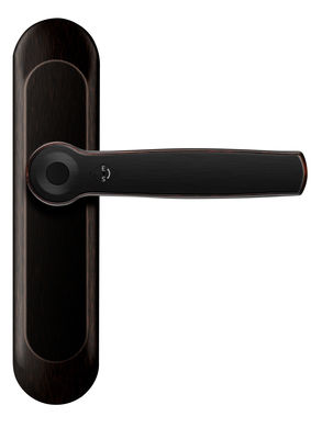 ROHS Smart Fingerprint Bluetooth Cerradura de puertas AI Voz mango de aleación de zinc