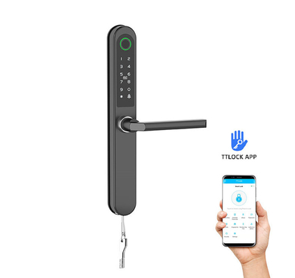 Tarjeta de bloqueo de puerta inteligente de acabado pintado / código / huella digital / APP / Bluetooth / WiFi para apartamentos