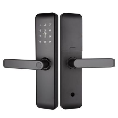 Cerraduras inteligentes sin llave Bluetooth WiFi RFID pintadas para apartamentos Puerta de entrada a casa Puerta de habitación
