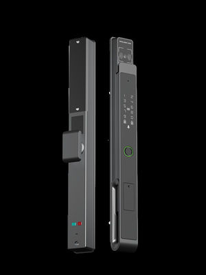 Cara / Vena de la Palma Smart Mortise Lock 7 en 1 Desbloqueador IP65 BKFDS Aluminio