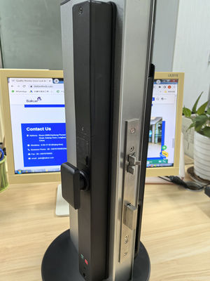 Video Ojo de Gato Vene de la Palma / Cara desbloqueando Wifi Smart Lock Aluminio IP65