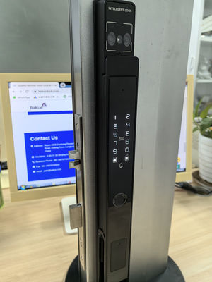 Reconocimiento facial / Video de ojo de gato / Cerradura de puerta inteligente de Palm Vein IP65 Aluminio