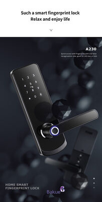 Control eKey Tipo RFID Cerradura de puerta con 2 llaves mecánicas Dispositivo de control de acceso duradero para diversos entornos