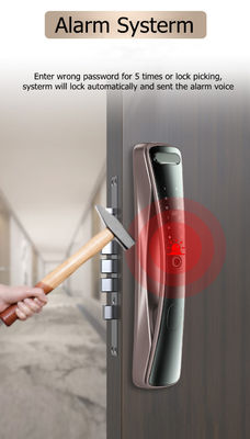 Captura en tiempo real de huellas dactilares Código de acceso Cerradura digital de puerta  1 Tarjeta